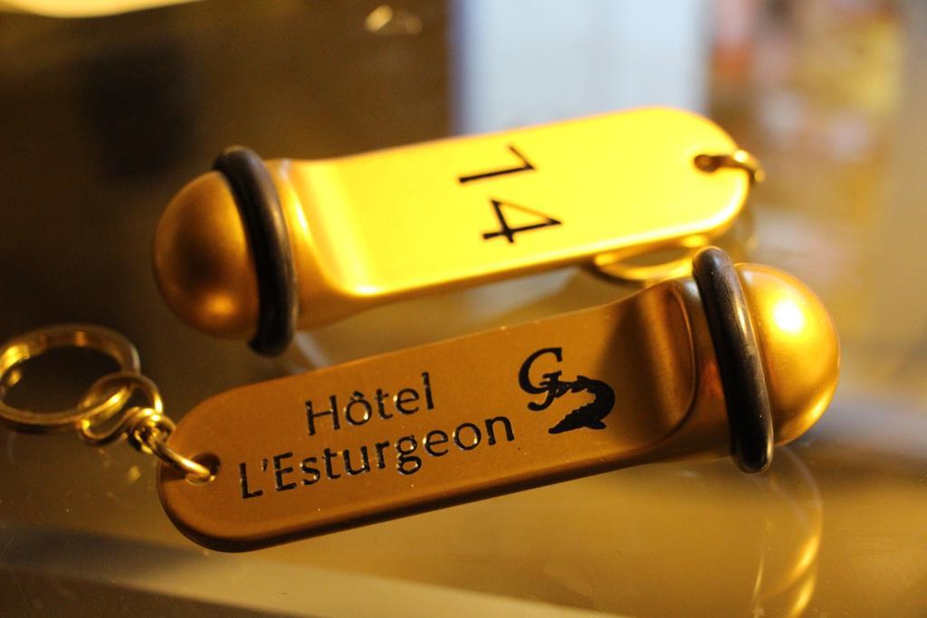 Hotel L'Esturgeon Poissy Kültér fotó